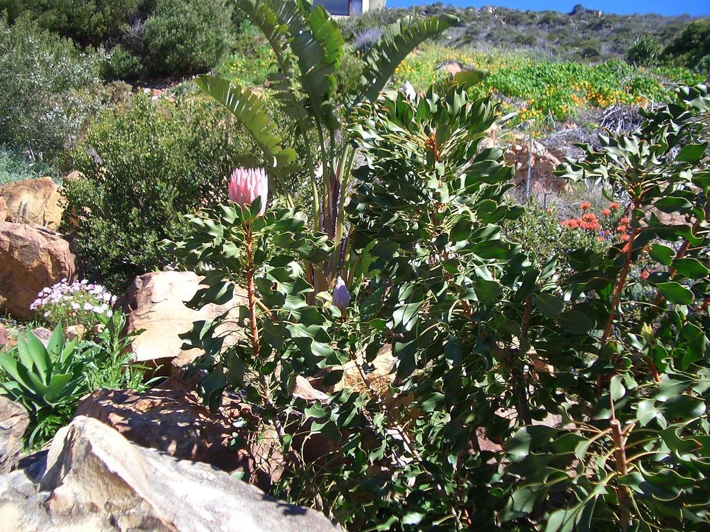 A Place In Thyme Fish Hoek Luaran gambar